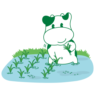会津こしひかりの田植え参加者募集!!