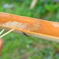 うどん作り＆納涼♪流しそうめん体験 IN 郡山