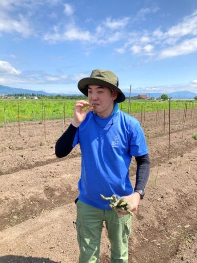 アスパラガスの収穫もしました。その場で試食！「美味し～」