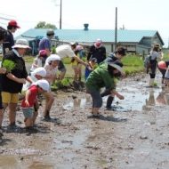 JA会津よつば田植え体験とアスパラ収穫 IN 喜多方