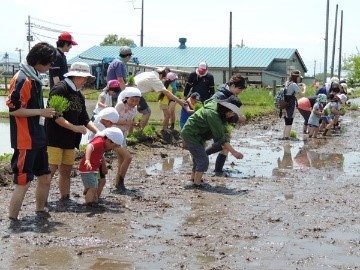 JA会津よつば田植え体験とアスパラ収穫 IN 喜多方