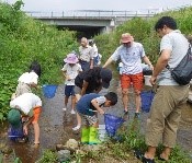 水辺の観察会 IN いわき