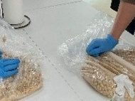 手作りみそ教室 IN 伊達