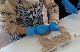 親子で手作りみそ教室 IN 伊達